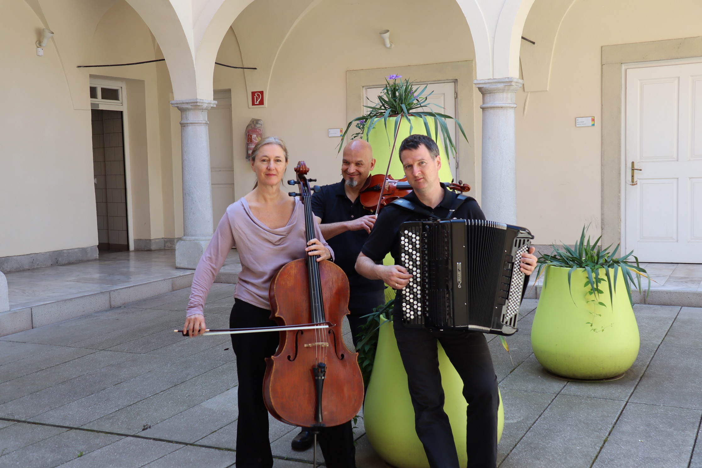 Der Ochse auf dem Dach 